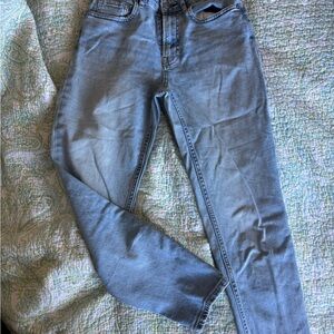 Everlane Women's Ankle & Cropped Jeans - Light Blue